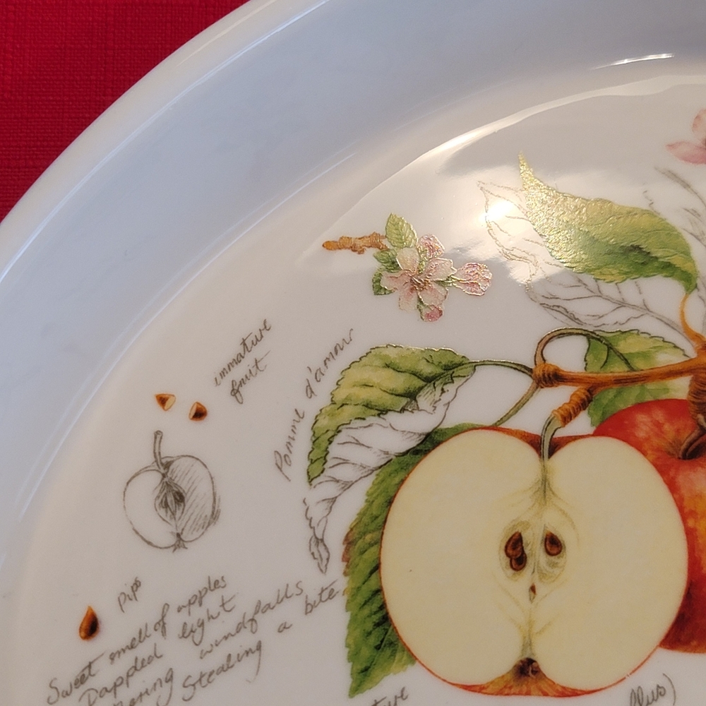 NWOT Oval Baking Dish Kent Pottery New Fruit Collection Apple Oblong Casserole - Picture 9 of 12